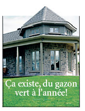 Vert &agrave; l'ann&eacute;e